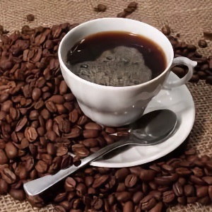 Coffea Excelsa – Das Kaffeegold aus dem Tschad